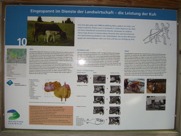 Schwarzwald Lehrpfad Tafel Leistungen Kuh